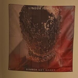 Rare Lingua Ignota Wall Tapestry